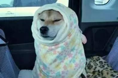 Ϊʲô˵������ů���²����22�������������������(ͼ2)